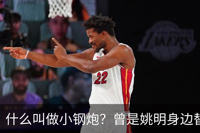 什么叫做小钢炮？曾是姚明身边替补！20年NBA赚2.82亿