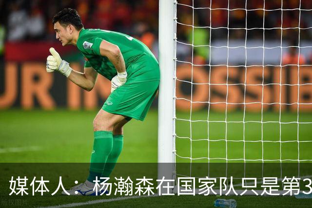 媒体人：杨瀚森在国家队只是第3中锋 应以继伟大秋为内外核心去打