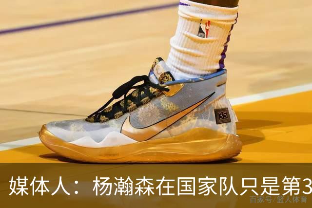 媒体人：杨瀚森在国家队只是第3中锋 应以继伟大秋为内外核心去打