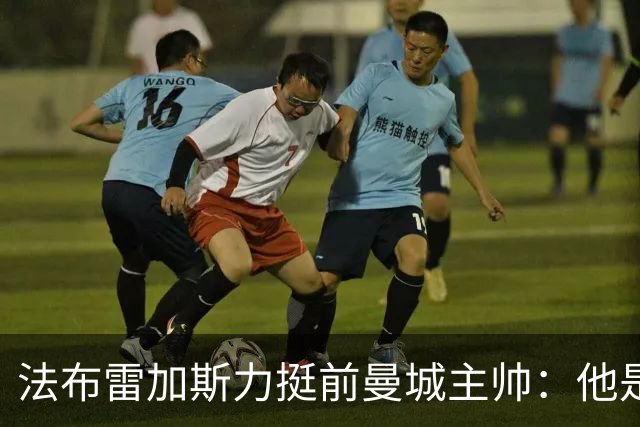 法布雷加斯力挺前曼城主帅：他是赢家，早已证明自己